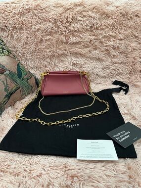 DeMellier Small Crossbody Bag in Rose Pink with Gold Chain